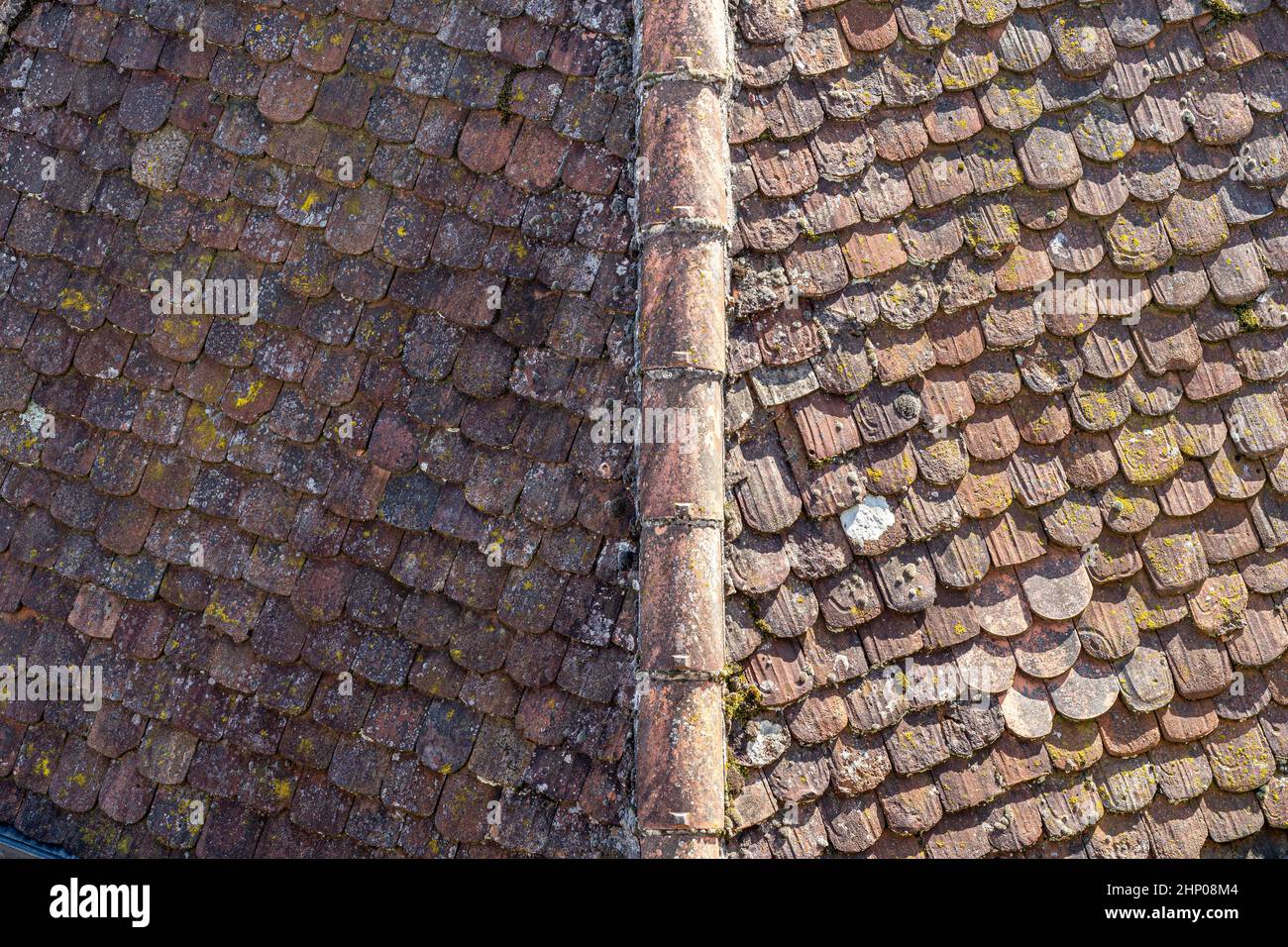 Tetto di una delle torri del castello Foto Stock