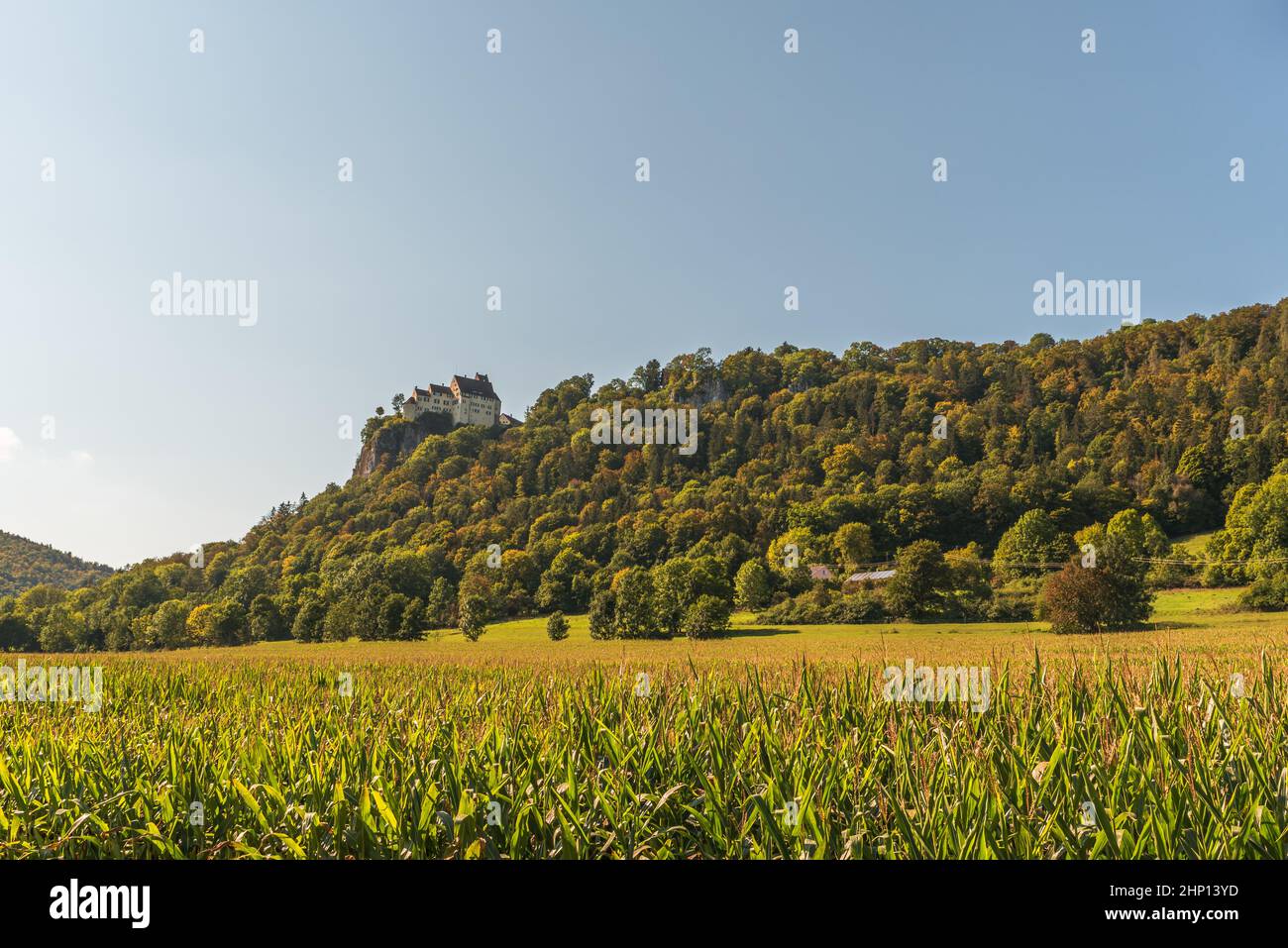 Castello di Werenwag nella Valle del Danubio superiore, Hausen im tal, Parco Naturale dell'Alto Danubio, distretto di Sigmaringen, Baden-Wuerttemberg, Germania Foto Stock