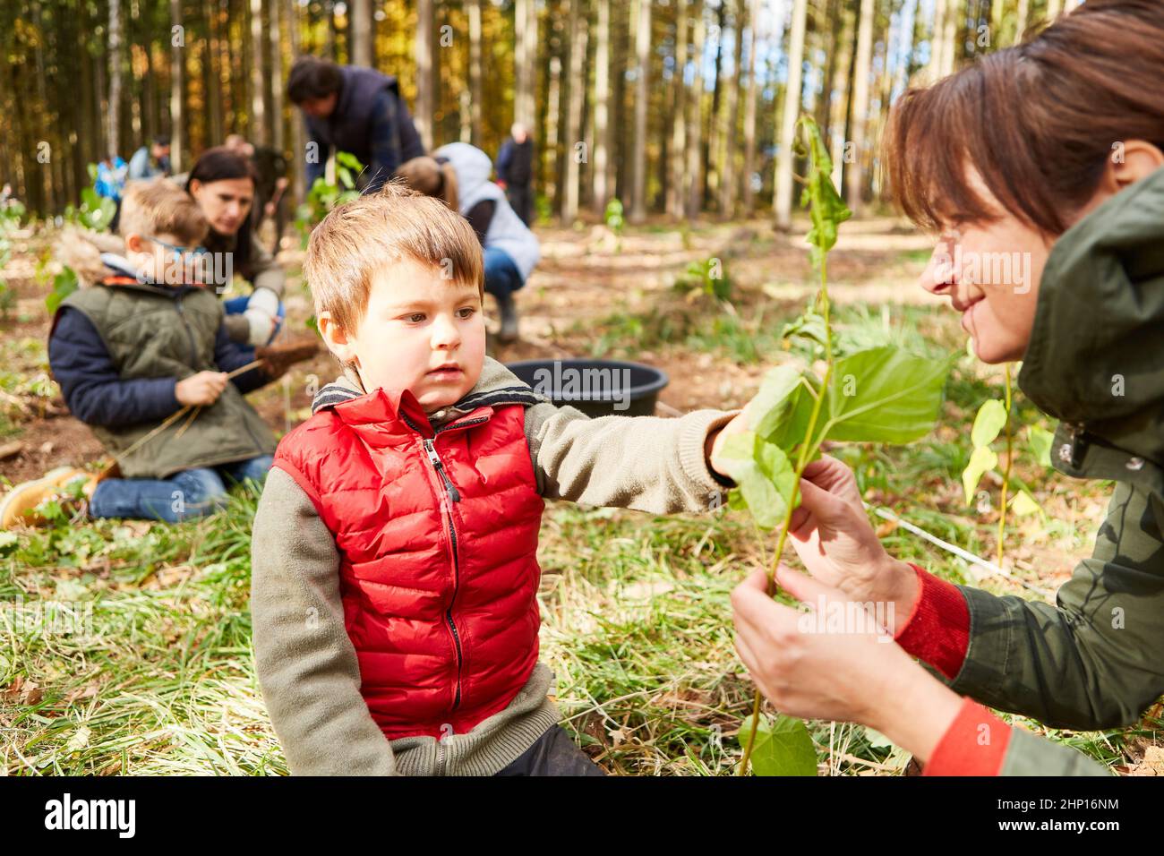 Madre e bambino con pianta dell'albero che fa la lezione di arborologia alla campagna di protezione ambientale Foto Stock