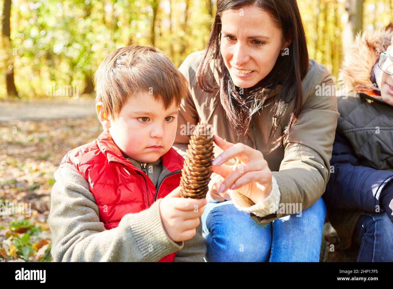 Insegnante femminile e bambino con un cono di pino durante la classe di identificazione dell'albero nella foresta Foto Stock