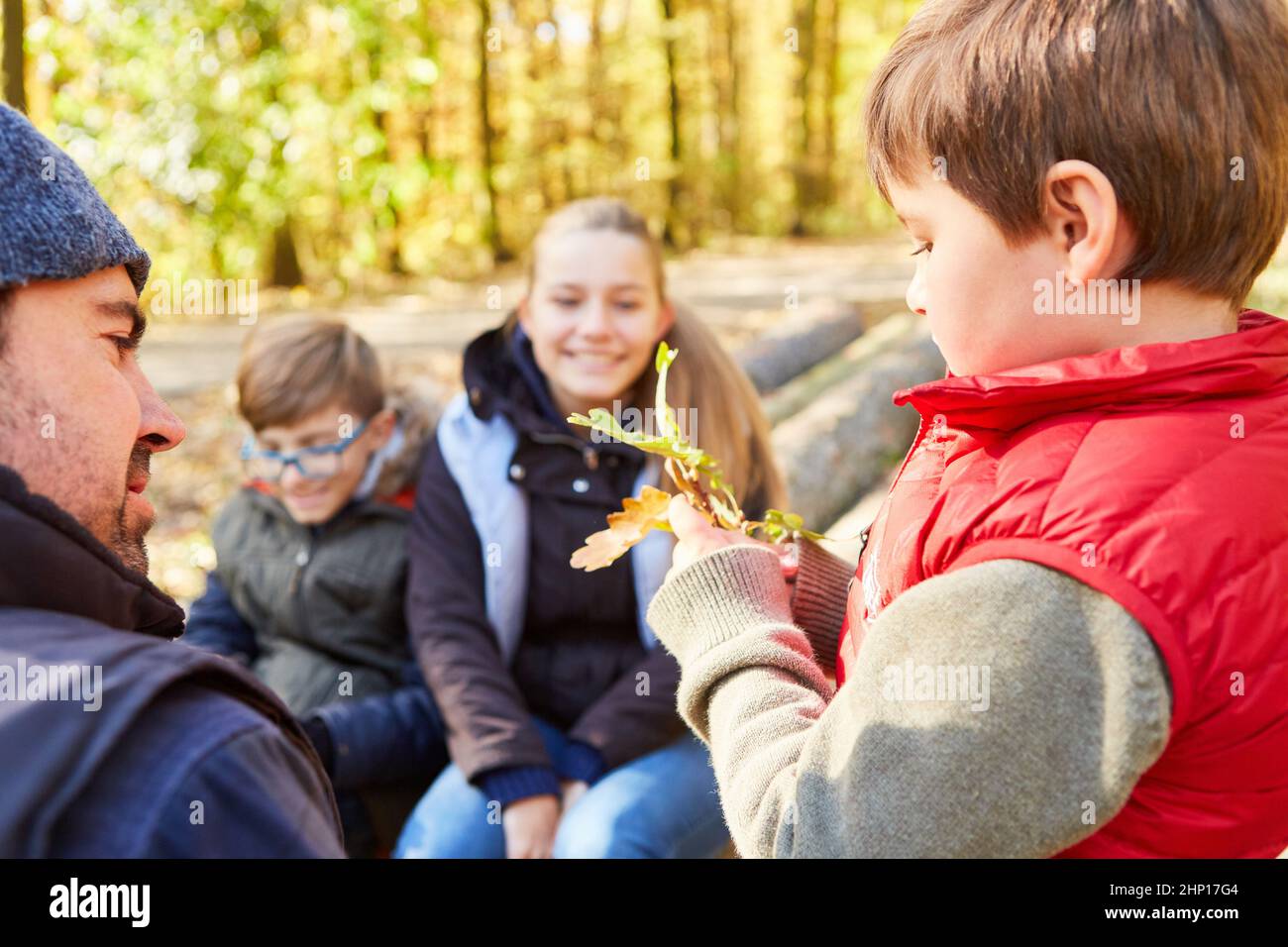 Gruppo di bambini dalla scuola materna e forester nella determinazione dell'albero come educazione forestale nella foresta Foto Stock