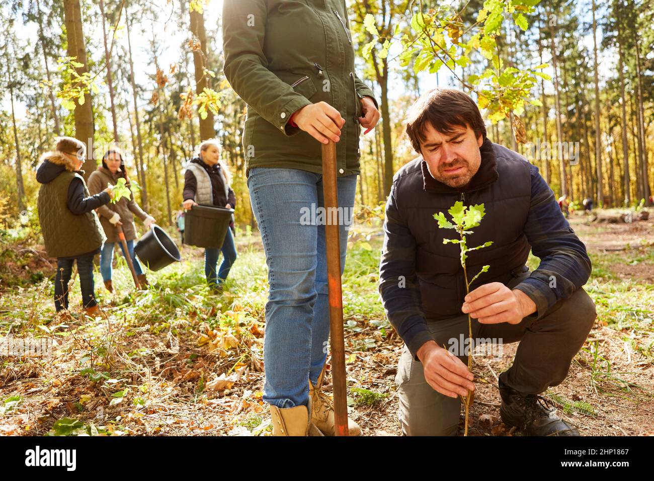 Forester con una piantina nella foresta che determina l'albero su un giro della foresta e rimboschimento Foto Stock