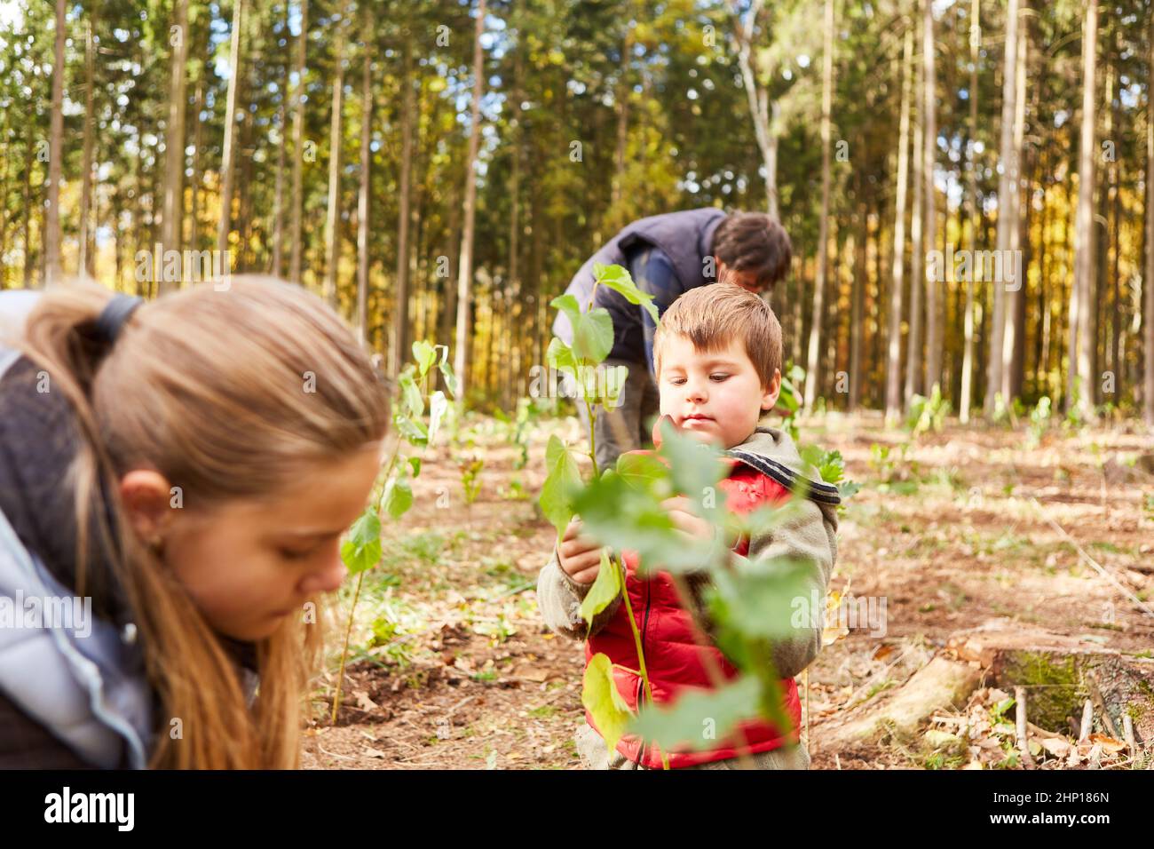 I bambini del centro diurno della foresta aiutano a piantare alberi nella foresta per la conservazione della natura e l'ecologia Foto Stock