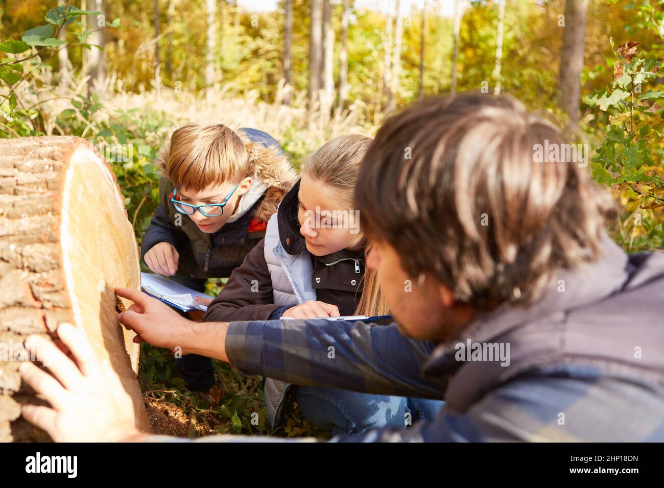 Förster mostra gli anelli annuali della classe scolastica sul tronco degli alberi durante un tour della foresta Foto Stock