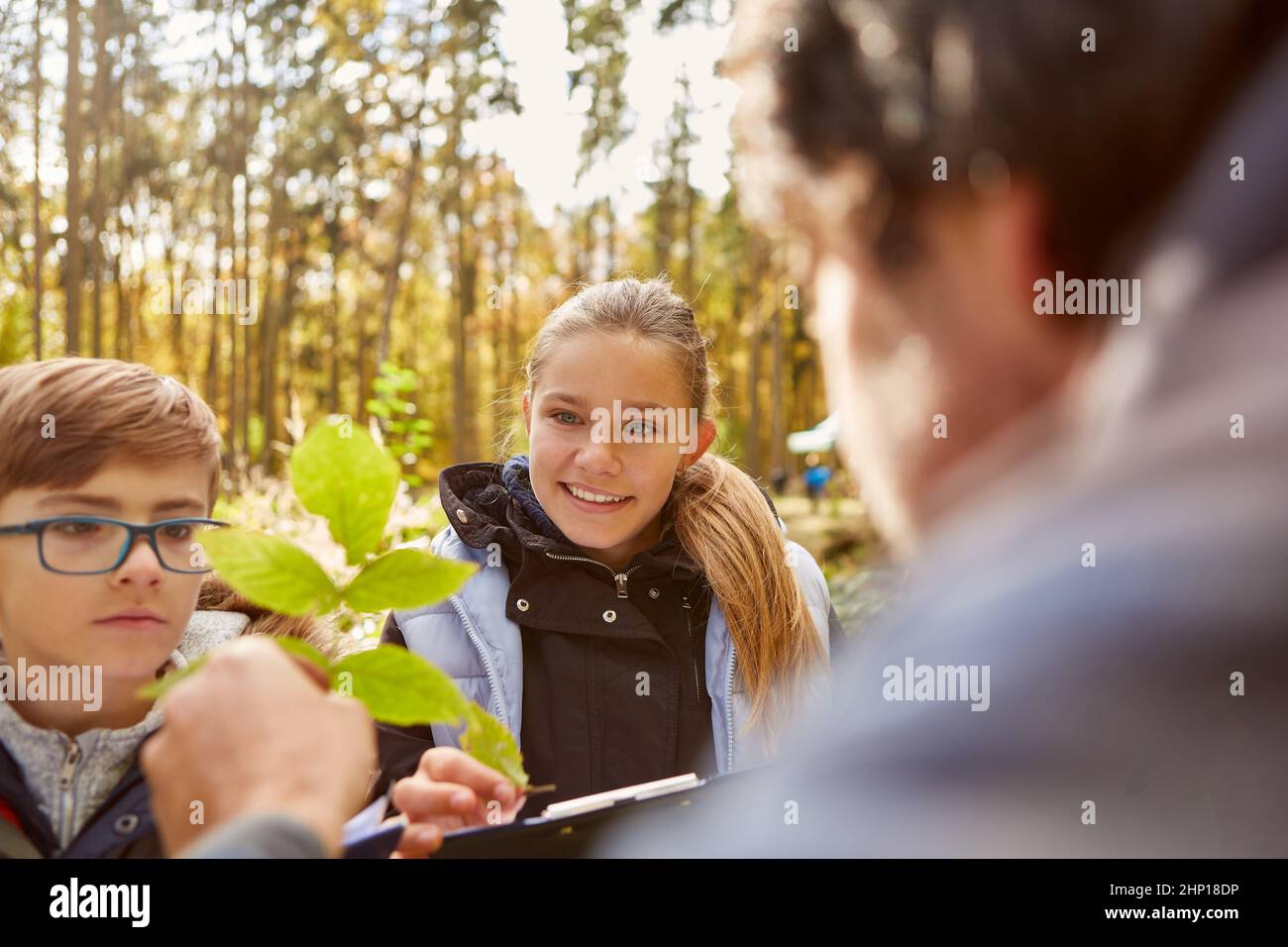 Forester mostra i fogli dei bambini per l'identificazione dell'albero nella foresta come una lezione di storia naturale Foto Stock