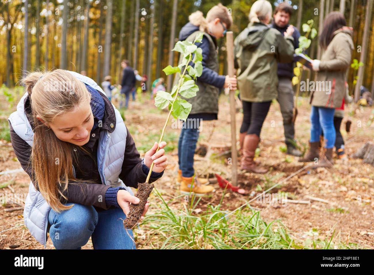 Ragazza con albero piantare come albero di cambiamento climatico per un rimboschimento sostenibile nella foresta Foto Stock