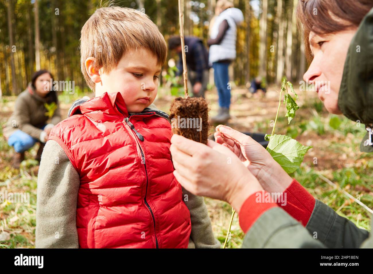 Insegnante e bambino al giorno di studio albero con una piantina per rimboschimento nella foresta Foto Stock