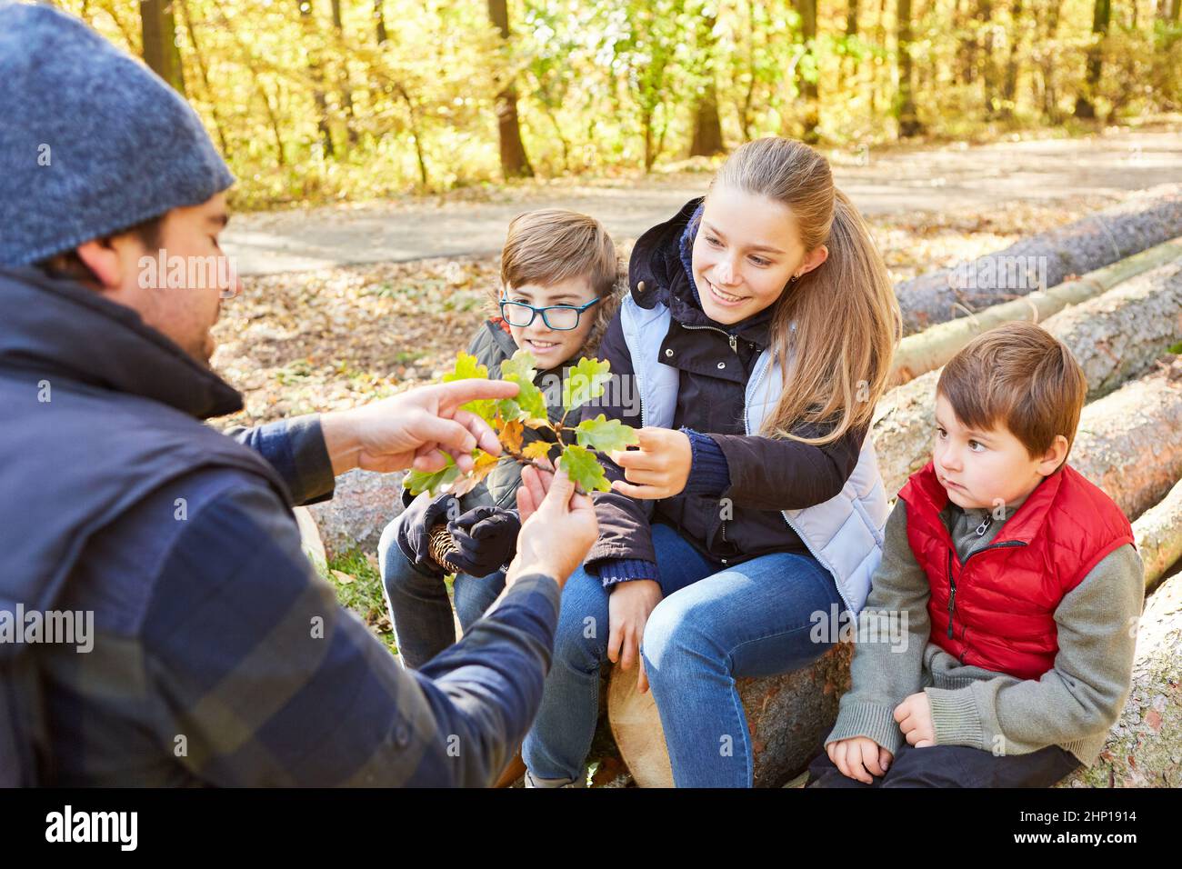 Forester e gruppo di bambini a Baumkunde come educazione forestale nella foresta Foto Stock