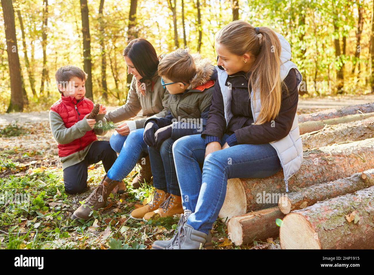 Insegnante e gruppo di bambini nella foresta a scienza degli alberi come educazione forestale con coni di pino Foto Stock