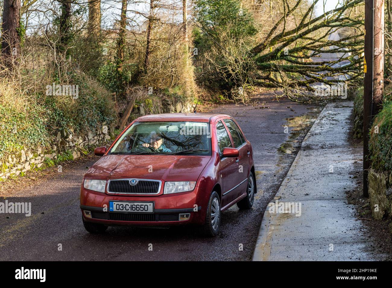 Dunmanway. Cork Occidentale, Irlanda. 18th Feb 2022. Un albero è caduto giù vicino al Dunmanway Hospital durante Storm Eunice oggi., bloccando completamente la strada. L'ESB è arrivata sulla scena per affrontare i cavi elettrici caduti. Credit: AG News/Alamy Live News Foto Stock