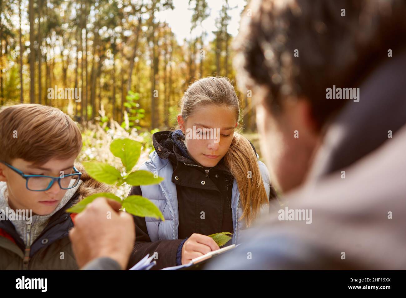 Bambini e forester con foglie in botanica o classe di storia naturale nella foresta Foto Stock