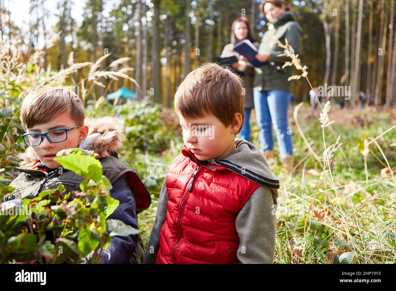 Due bambini dell'asilo forestale all'albero studiano come pedagogia forestale e educazione forestale Foto Stock