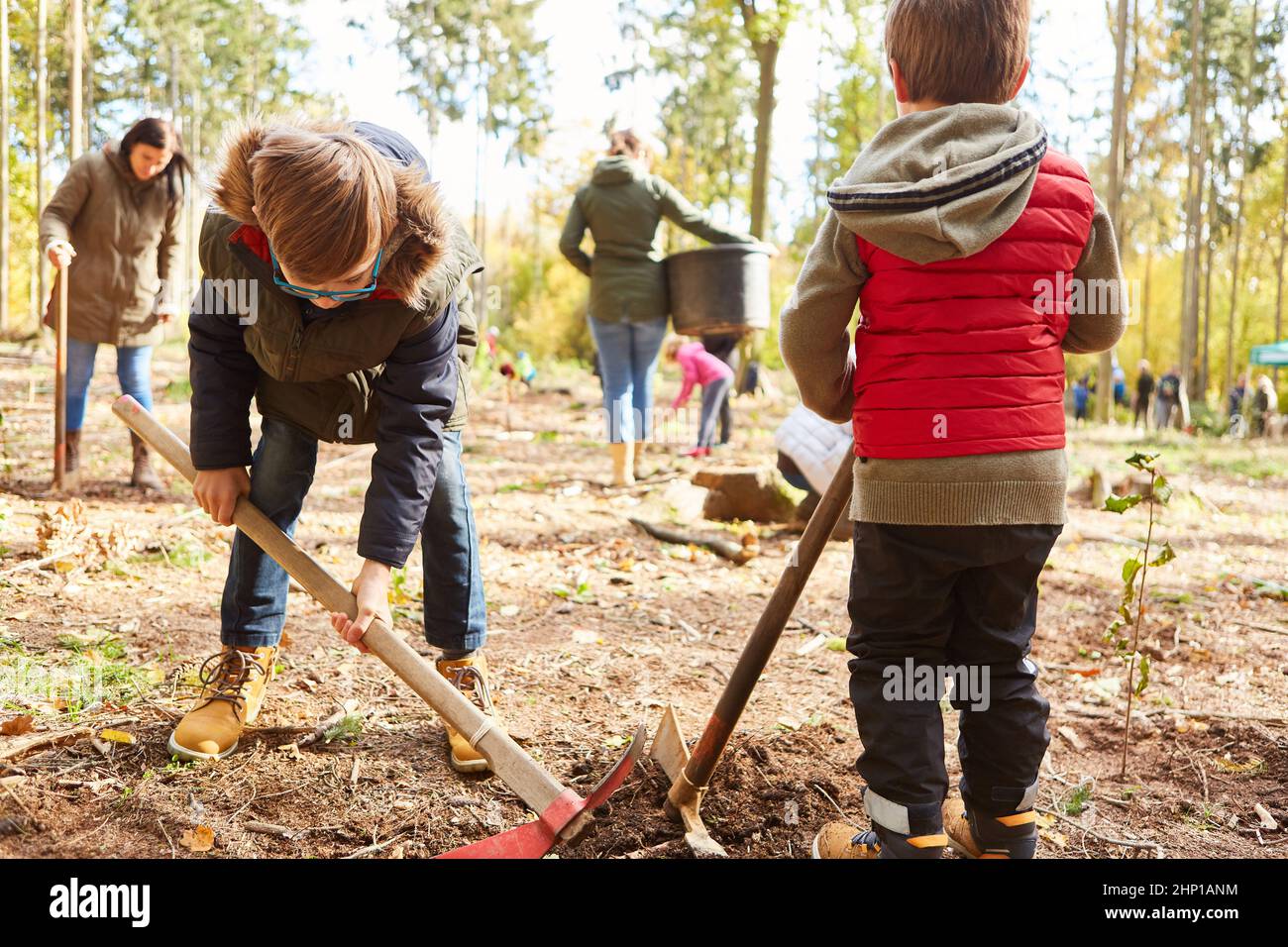I bambini scavano a terra con l'ascia adze nella foresta in un rimboschimento sostenibile Foto Stock