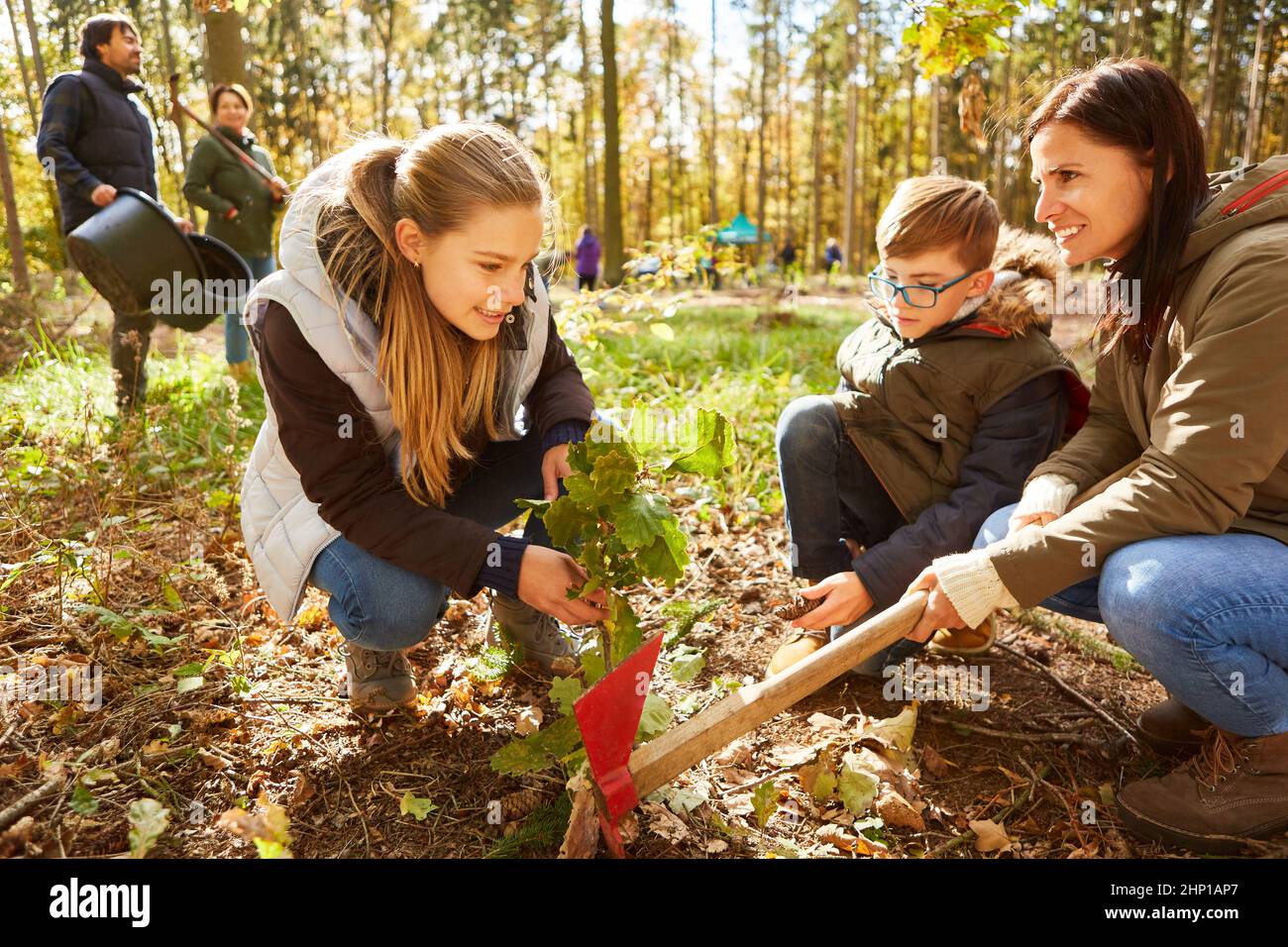Madre e bambini piantano alberi insieme nella foresta per un rimboschimento sostenibile Foto Stock