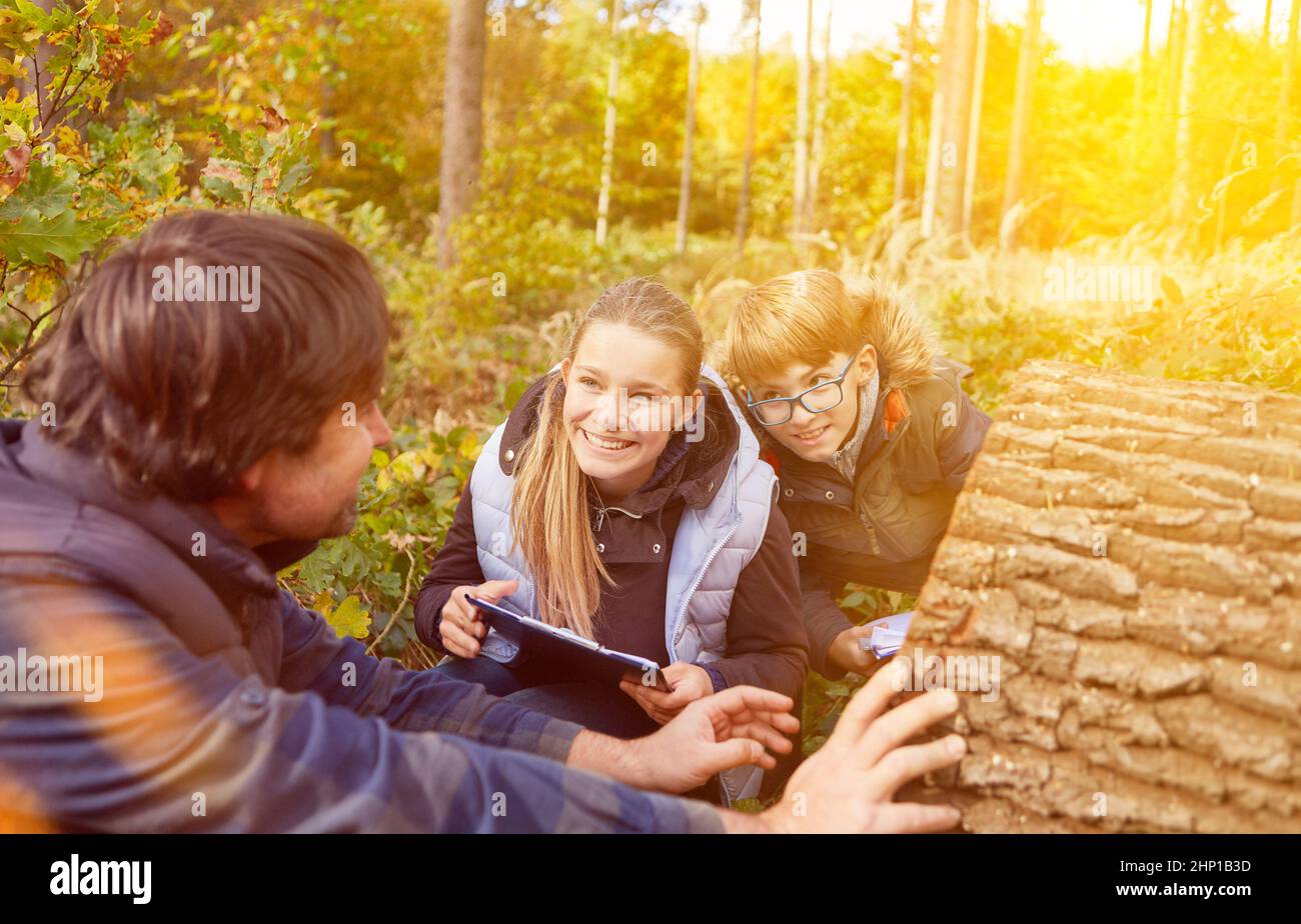 I bambini in una classe scolastica imparano l'identificazione degli alberi nella foresta di Förster in estate Foto Stock