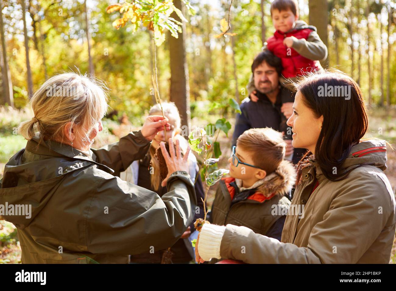 Insegnante e famiglia con bambini imparano a conoscere gli alberi nella foresta durante un tour della foresta Foto Stock