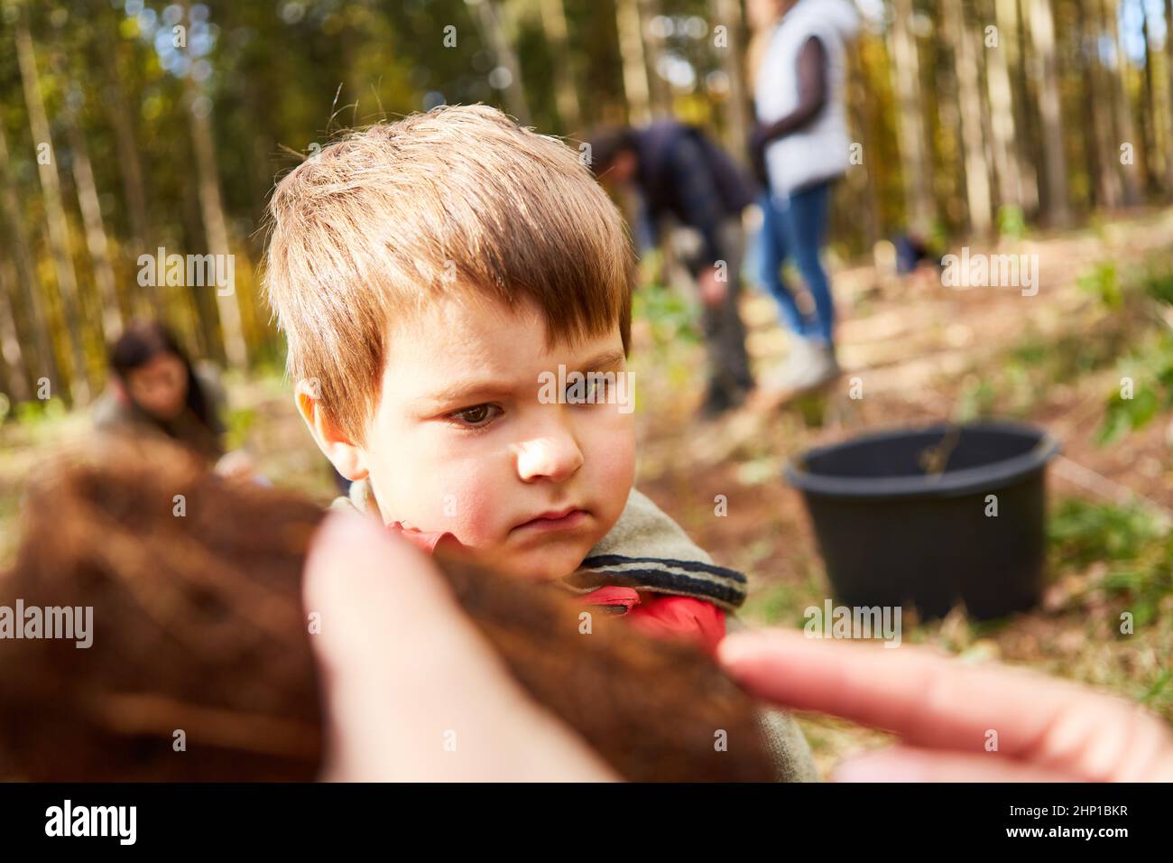 Ragazzo dal centro di cura della foresta a lezioni di scienza degli alberi come pedagogia della foresta in un tour della foresta Foto Stock