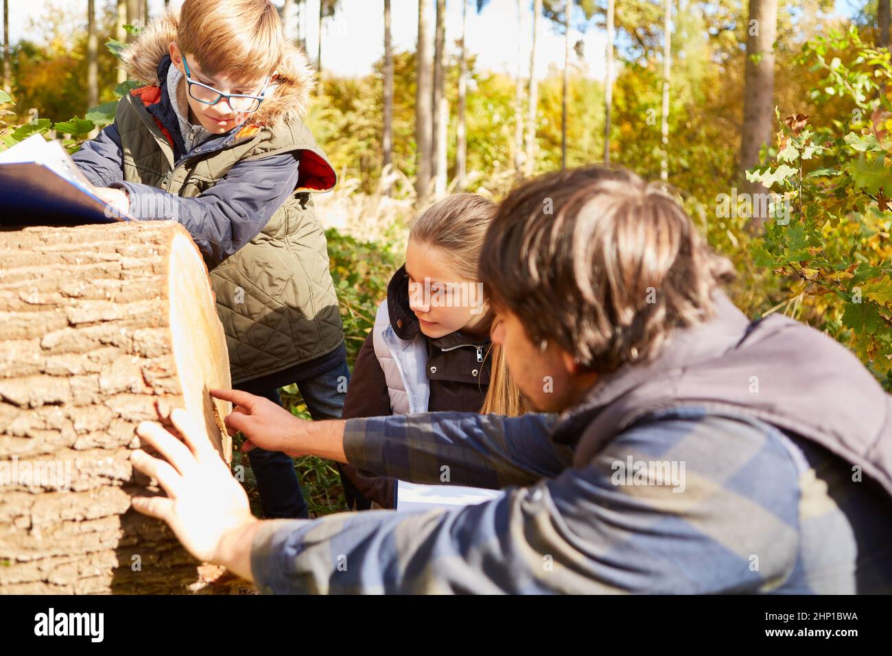 Förster mostra i tronchi di albero dei bambini e anelli annuali per determinare la loro età nell'educazione forestale Foto Stock