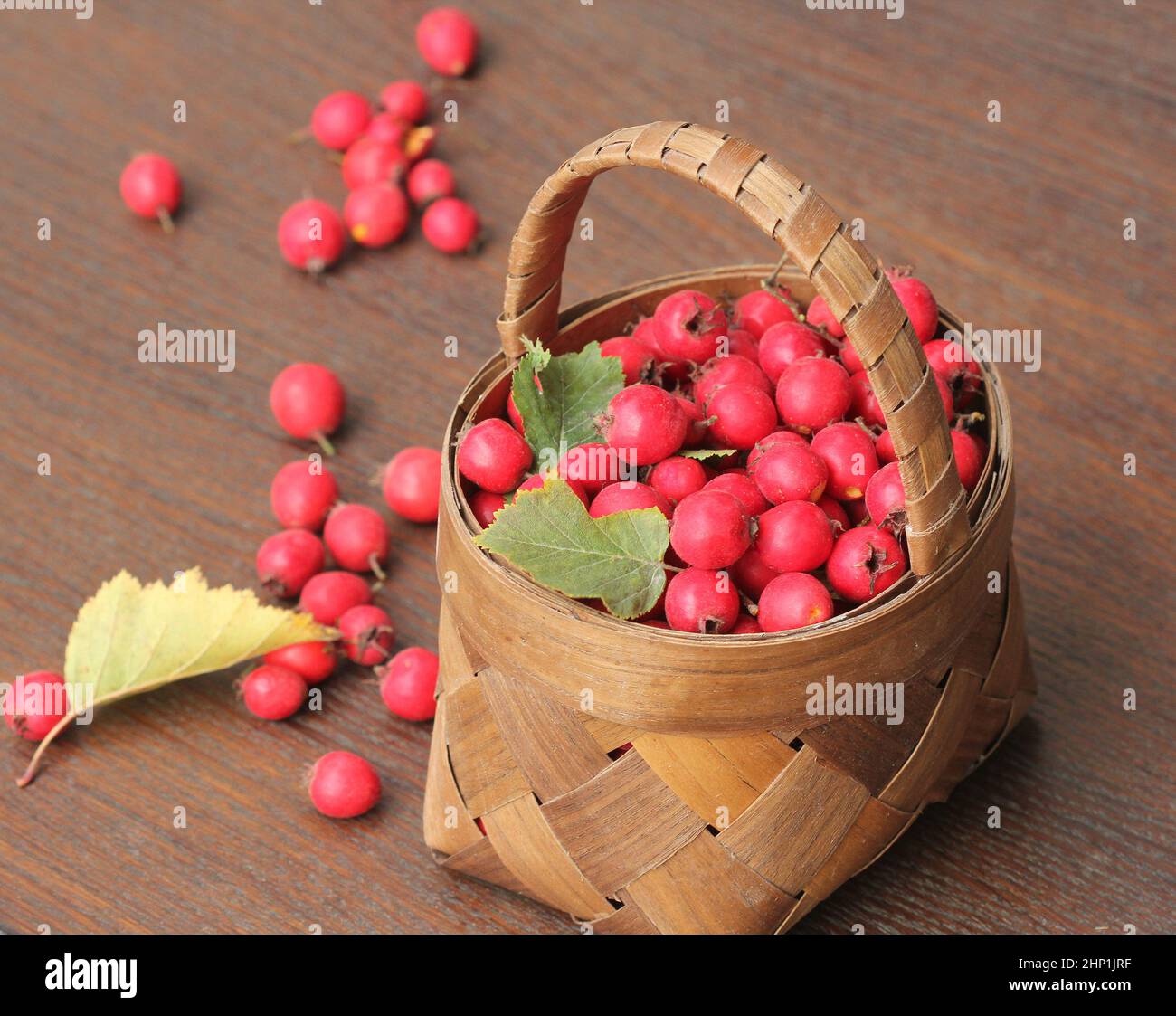 Bacche per la medicina tradizionale. Biancospino maturo in un cesto su sfondo di legno. Foto Stock