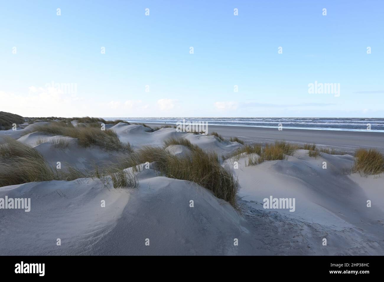 Blick von den Dünen über den Strand aufs Meer auf Langeoog Foto Stock
