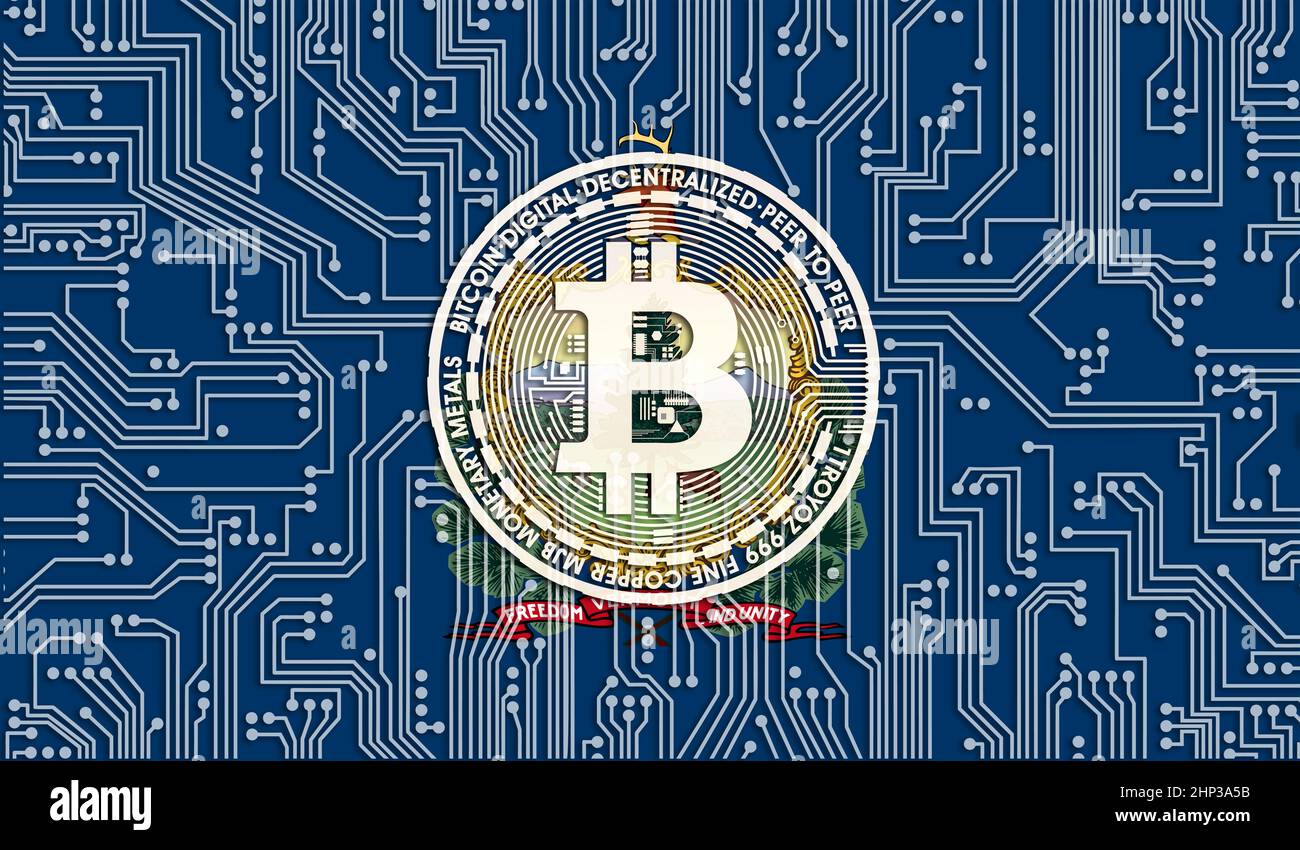 Bandiera dello stato del Vermont degli Stati Uniti e bitcoin, schema della scheda a circuito integrato. Crescita dello stock di Bitcoin. Tecnologia Blockchain e immagine concettuale per inves Foto Stock