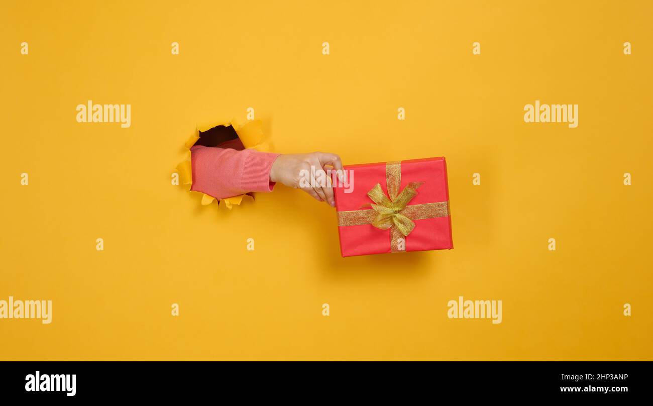 la mano femmina tiene una scatola con un regalo su uno sfondo giallo, parte del corpo sporge da un buco strappato in uno sfondo di carta. Congratulazioni, vacanza Foto Stock