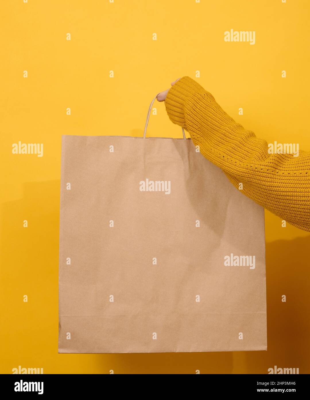 la mano femminile contiene un sacchetto di carta usa e getta con maniglie per generi alimentari e vestiti. Confezione riciclabile. Zero sprechi Foto Stock