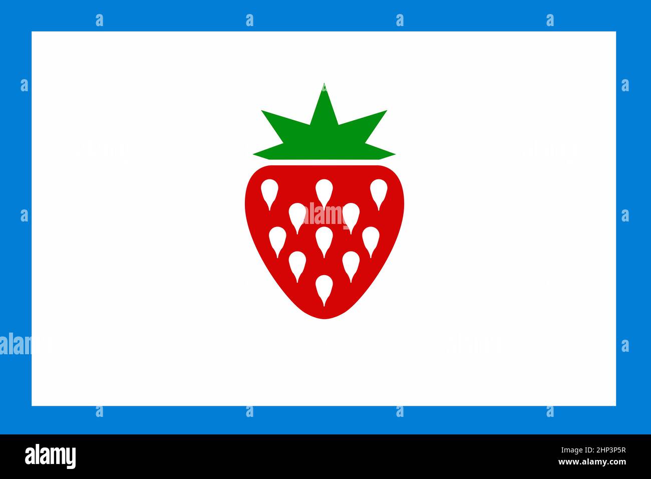 La bandiera tradizionale di Searcy County Bandiera Arkansas Foto Stock