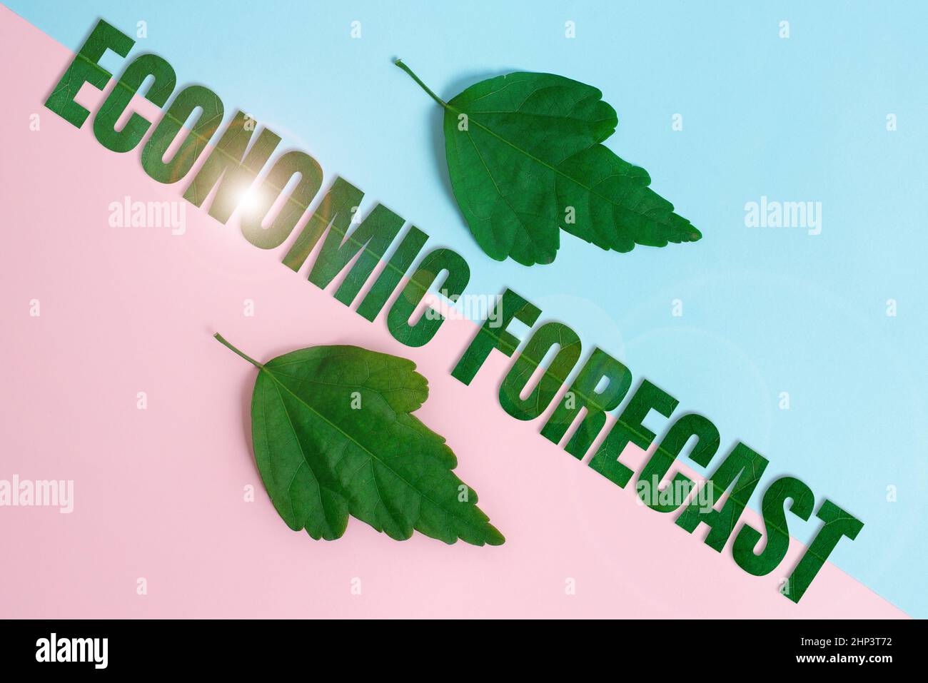 Segno di testo che mostra previsione economica, processo di concetto di affari di fare previsioni circa la condizione di economia due oggetti disposti rivolti verso l'interno verso l'esterno Foto Stock