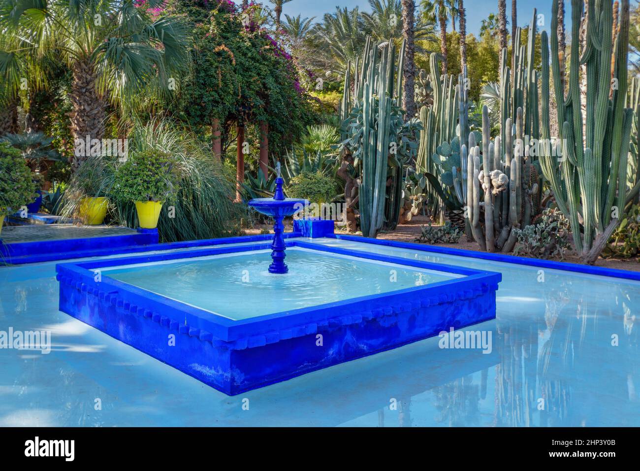 MAROCCO MARRAKECH IL GIARDINO MAJORELLE حديقة ماجوريل È UN GIARDINO DI CACTUS E LA FONTANA E LA PISCINA BLU COBALTO Foto Stock