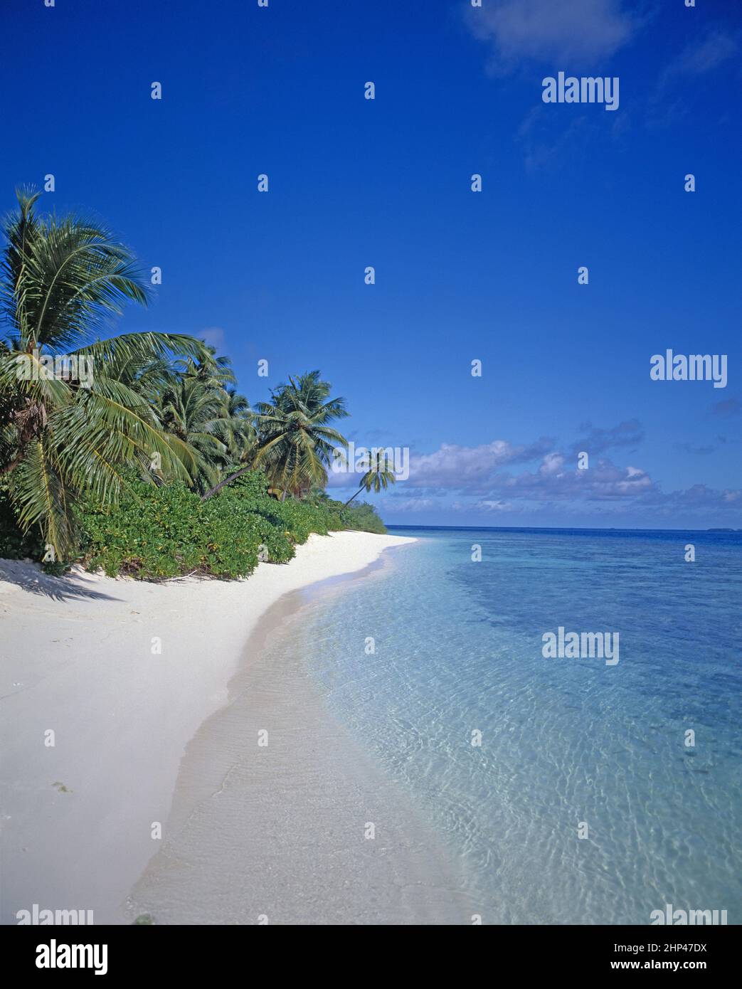 Maldive. Spiaggia tropicale. Foto Stock