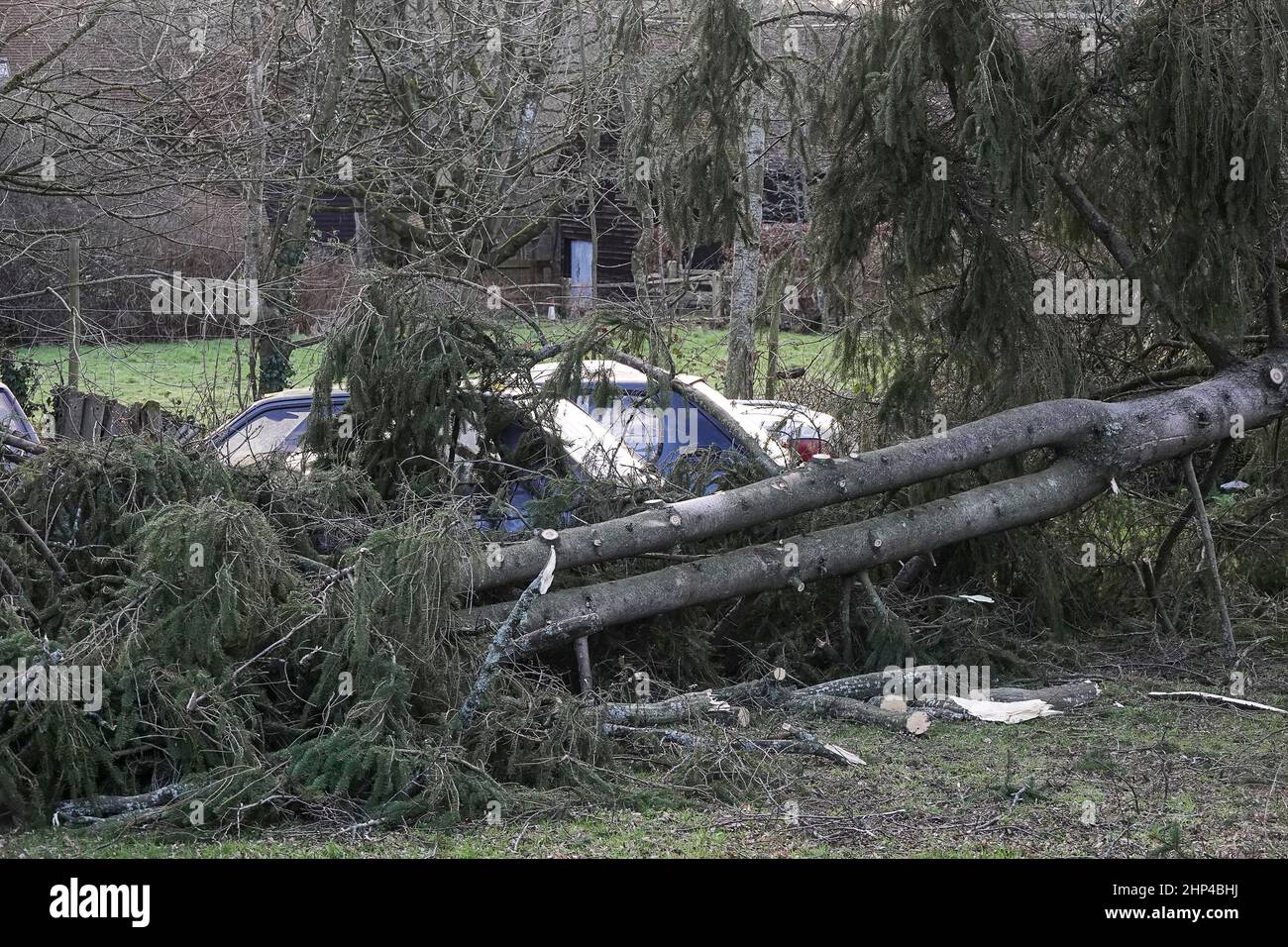 Station Lane, Godalming. 18th febbraio 2022. I venti di forza dell'uragano hanno colpito oggi le contee domestiche mentre la Storm Eunace ha fatto la caduta. Tempesta danni in Godalming in Surrey come alberi caduta danni auto. Credit: james jagger/Alamy Live News Foto Stock