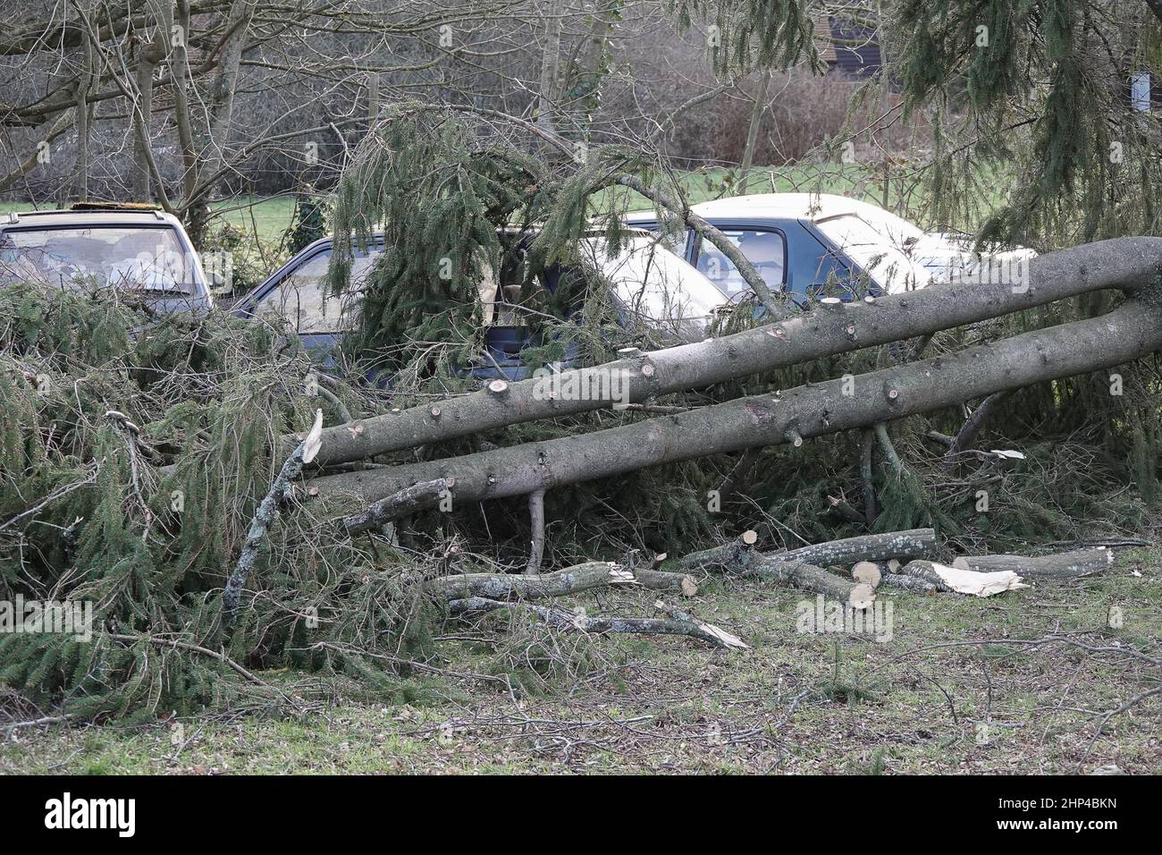 Station Lane, Godalming. 18th febbraio 2022. I venti di forza dell'uragano hanno colpito oggi le contee domestiche mentre la Storm Eunace ha fatto la caduta. Tempesta danni in Godalming in Surrey come alberi caduta danni auto. Credit: james jagger/Alamy Live News Foto Stock