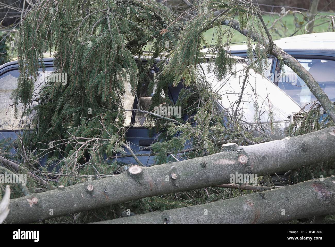 Station Lane, Godalming. 18th febbraio 2022. I venti di forza dell'uragano hanno colpito oggi le contee domestiche mentre la Storm Eunace ha fatto la caduta. Tempesta danni in Godalming in Surrey come alberi caduta danni auto. Credit: james jagger/Alamy Live News Foto Stock