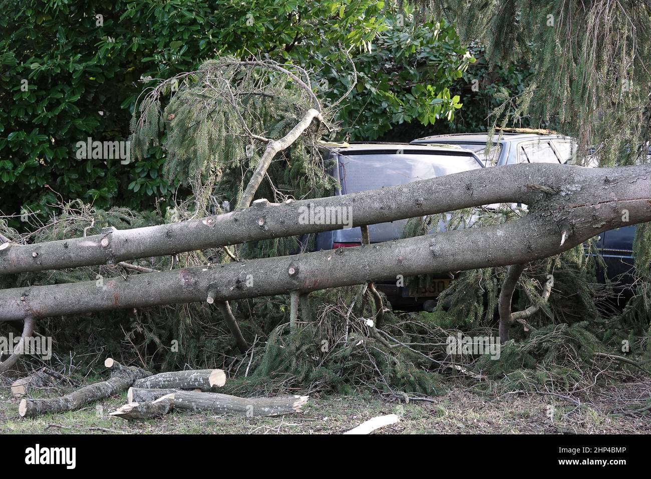 Station Lane, Godalming. 18th febbraio 2022. I venti di forza dell'uragano hanno colpito oggi le contee domestiche mentre la Storm Eunace ha fatto la caduta. Tempesta danni in Godalming in Surrey come alberi caduta danni auto. Credit: james jagger/Alamy Live News Foto Stock