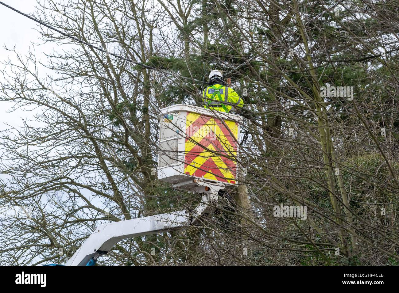 Brentwood, Regno Unito. 18th Feb 2022. Brentwood Essex 18th Feb 2022 UK Weather, Storm Eunice; strade chiuse e linee elettriche giù a causa di Storm Eunice in Brentwood Essex credito: Ian Davidson/Alamy Live News Foto Stock