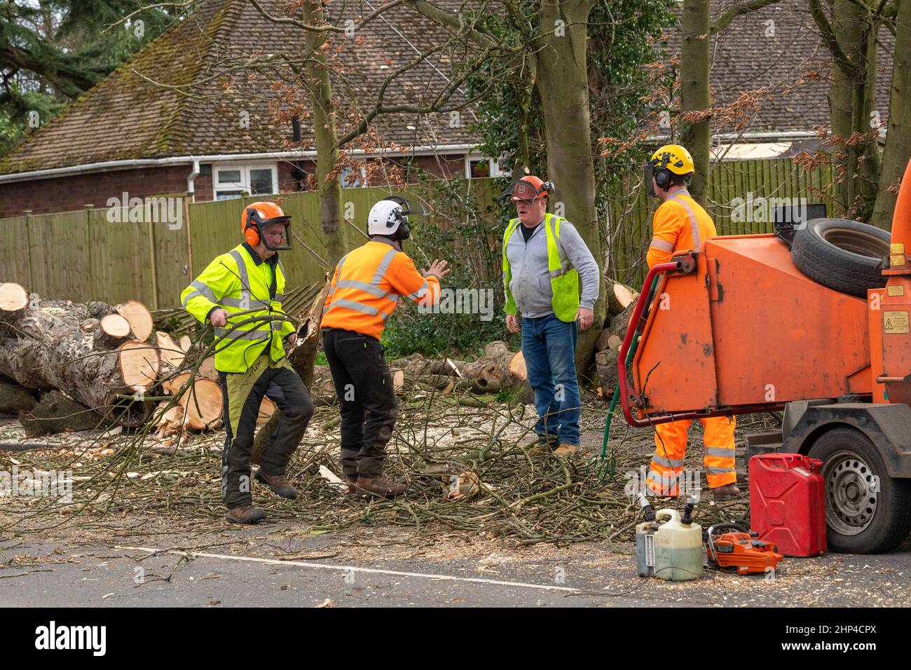 Brentwood, Regno Unito. 18th Feb 2022. Brentwood Essex 18th Feb 2022 UK Weather, Storm Eunice; strade chiuse e linee elettriche giù a causa di Storm Eunice in Brentwood Essex credito: Ian Davidson/Alamy Live News Foto Stock