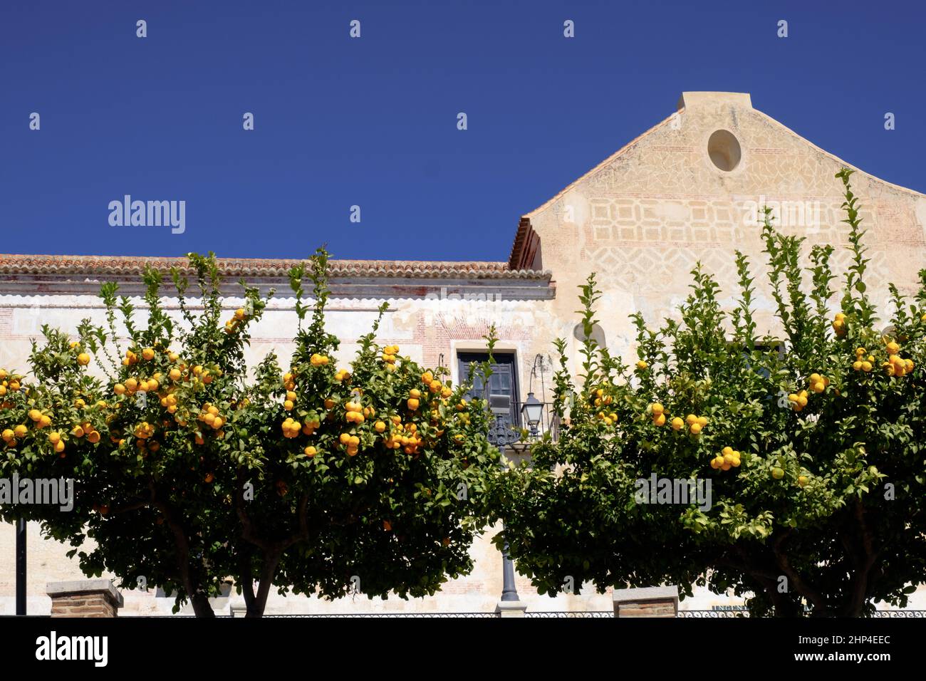 Scene di strada nel villaggio bianco di Frigiliana, Nerja, Malaga, Spagna Foto Stock