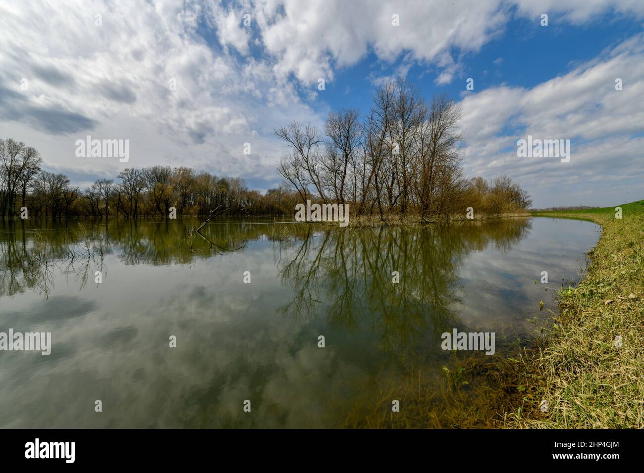 Dopo un'alluvione nel Parco Nazionale Lonjsko Polje in Croazia. Foto Stock