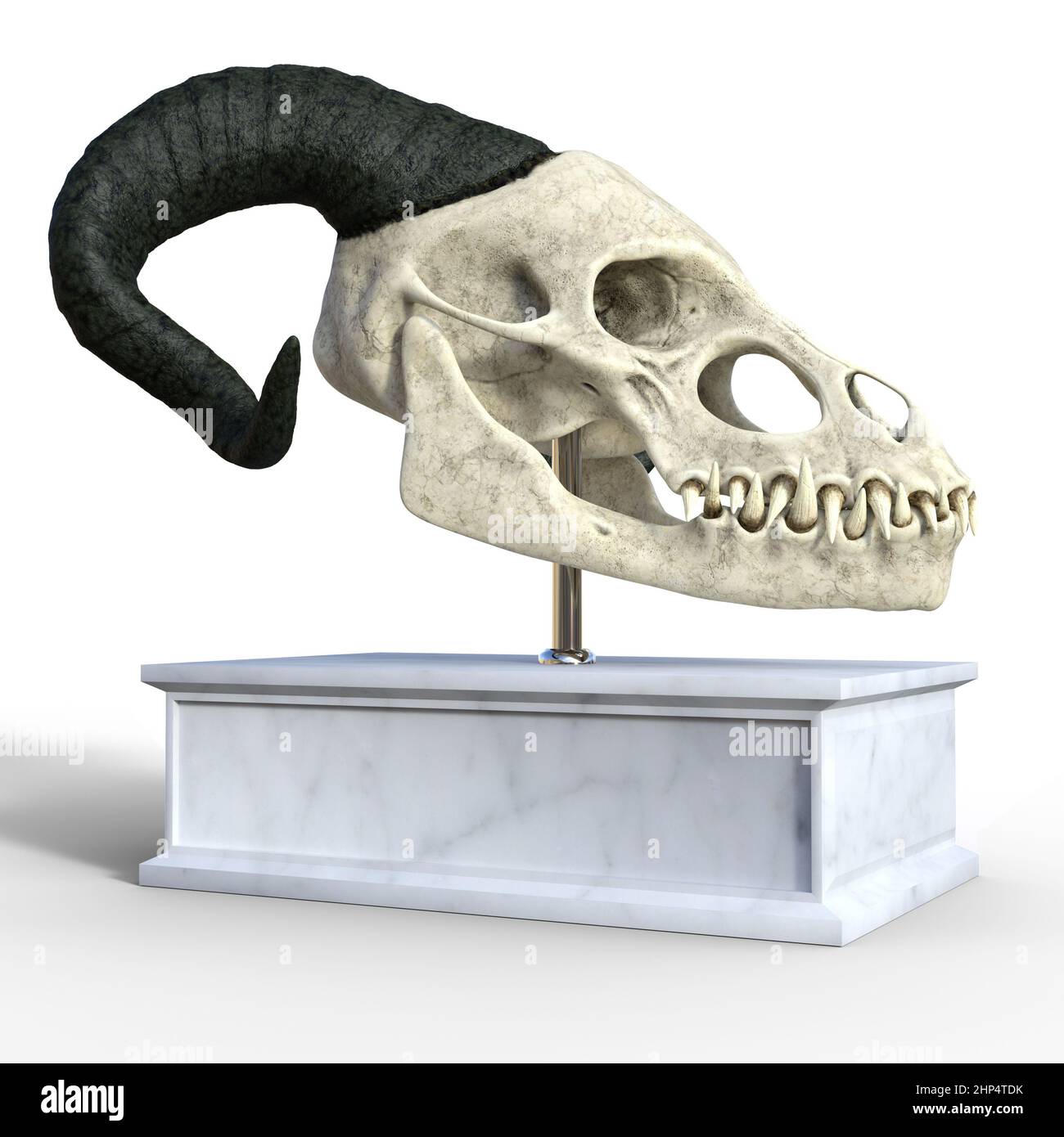 3D illustrazione su bianco di un antico cranio di un drago fantasy montato su un cavalletto Foto Stock