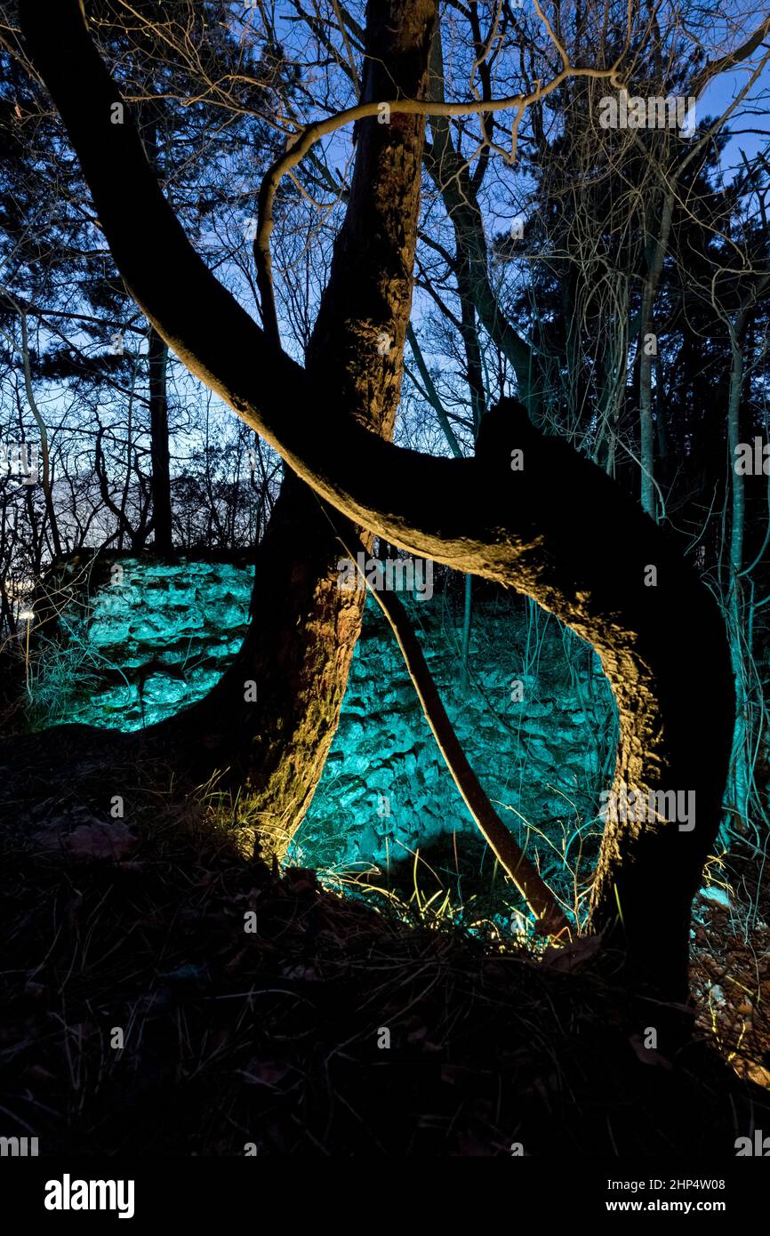 Le rovine del Castello di Seiano sono circondate da fitti boschi e leggende medievali ancestrali. Arco, provincia di Trento, Trentino Alto Adige, Italia, Europa. Foto Stock