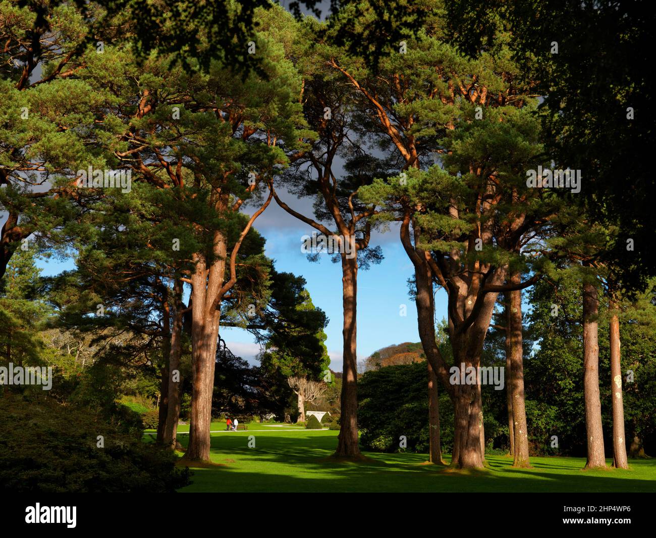 The Gardens of Muckross House, Killarney National Park, County Kerry, Irlanda Foto Stock