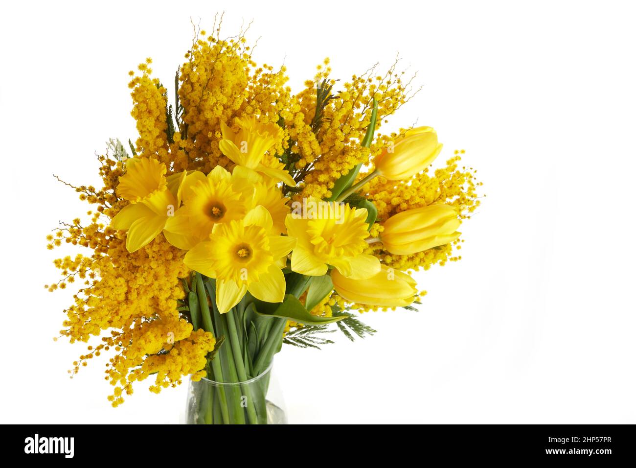 Mimosa, daffodil e tulipano fiori bouquet su sfondo bianco. Pasqua, Giornata delle madri, concetto di Giornata delle Donne Foto Stock