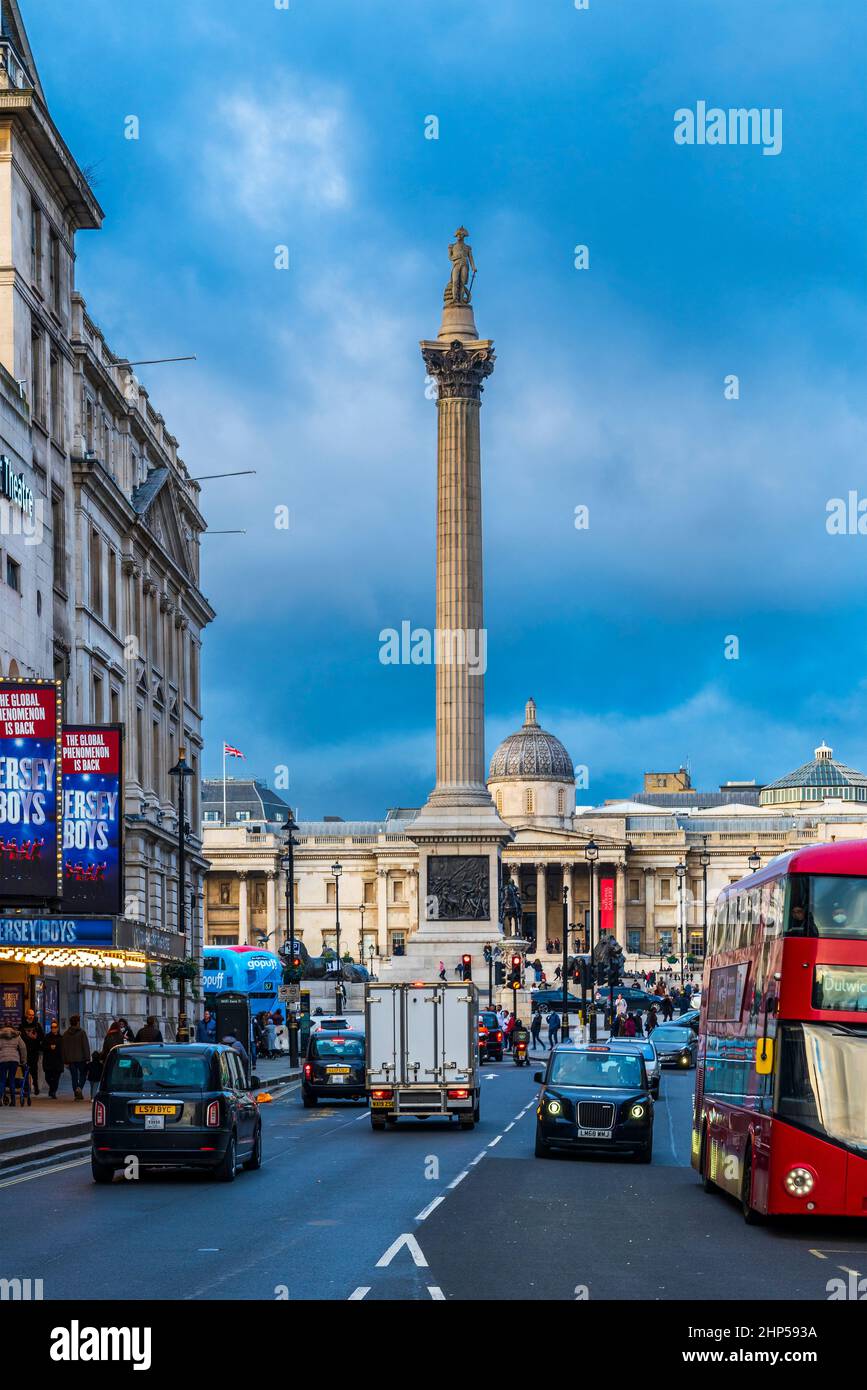 Nelson's column, Trafalgar Square, Londra, Regno Unito, Europa. Foto Stock