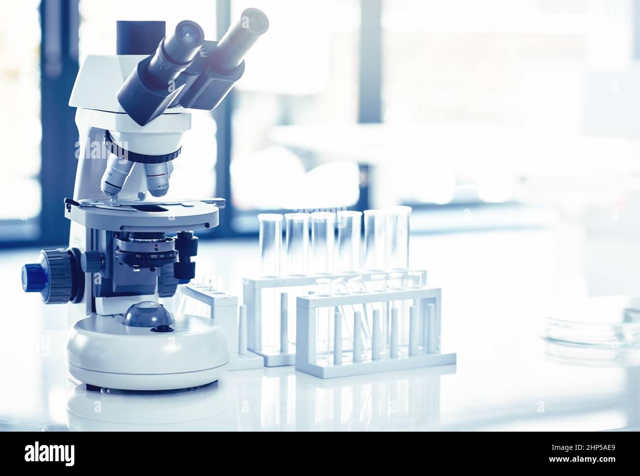 Da qualche parte, qualcosa di incredibile sta aspettando di essere conosciuto. Shot di un microscopio in laboratorio. Foto Stock