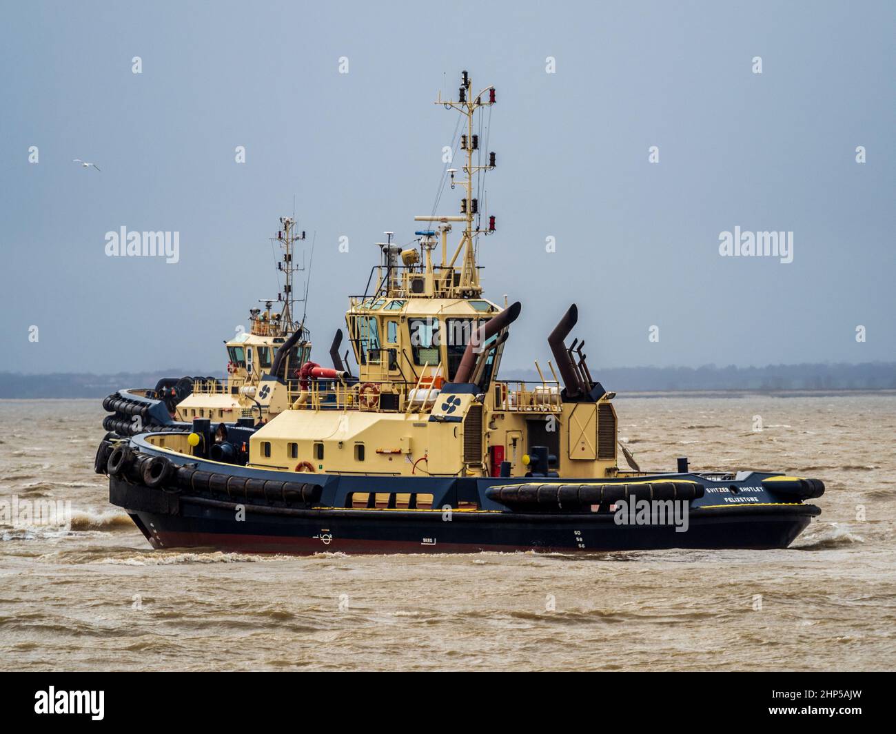 Rimorchiatori che lavorano al porto di Felixstowe UK - due Tugs Svitzer si dirigono verso l'esterno per incontrare una nave che entra nel porto di Felixstowe. Foto Stock