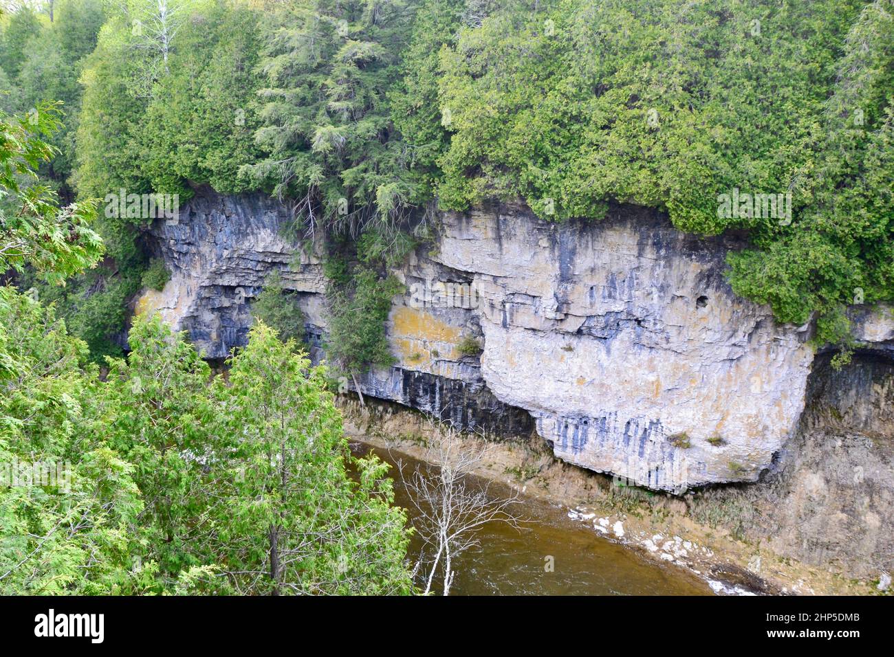 Ripida scogliera di calcare e fiume che scorre lungo la gola di Elora durante la primavera Foto Stock