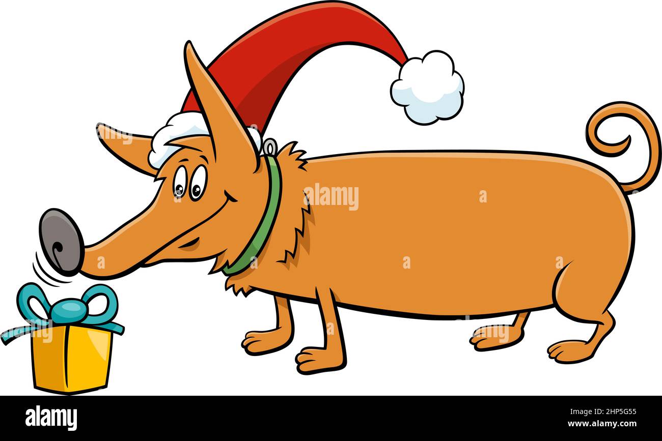 Cane cartoon con regalo il tempo di Natale Illustrazione Vettoriale