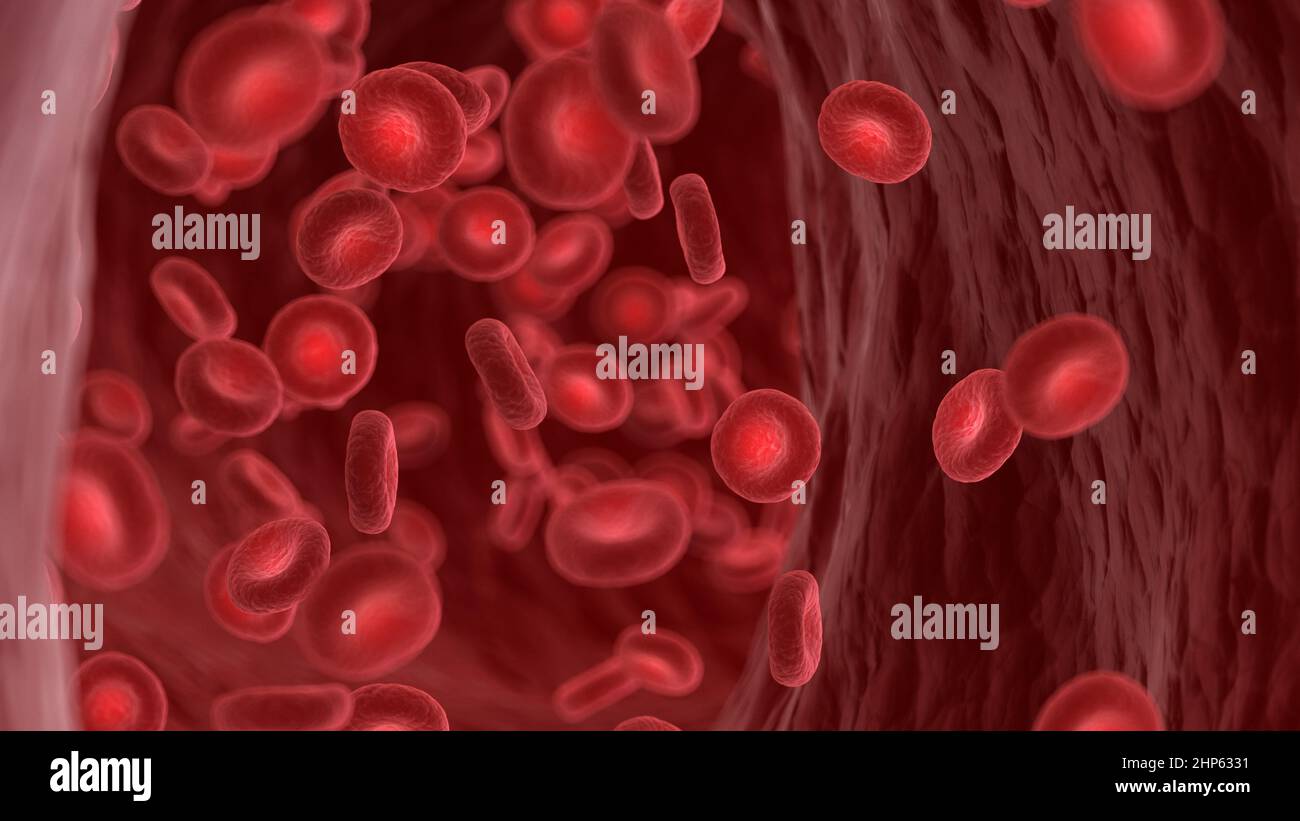Globuli rossi in un'arteria umana, illustrazione. Foto Stock