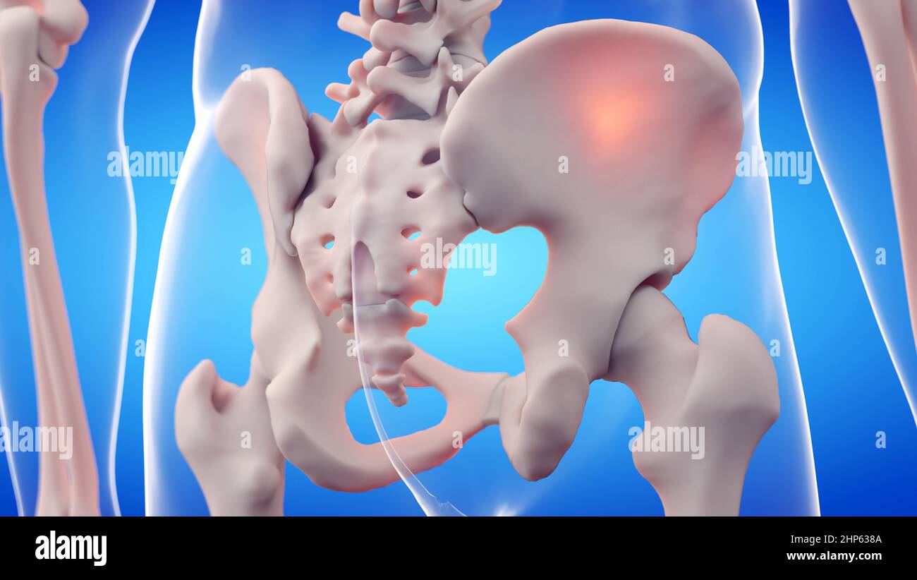 Sacro, illustrazione. Foto Stock